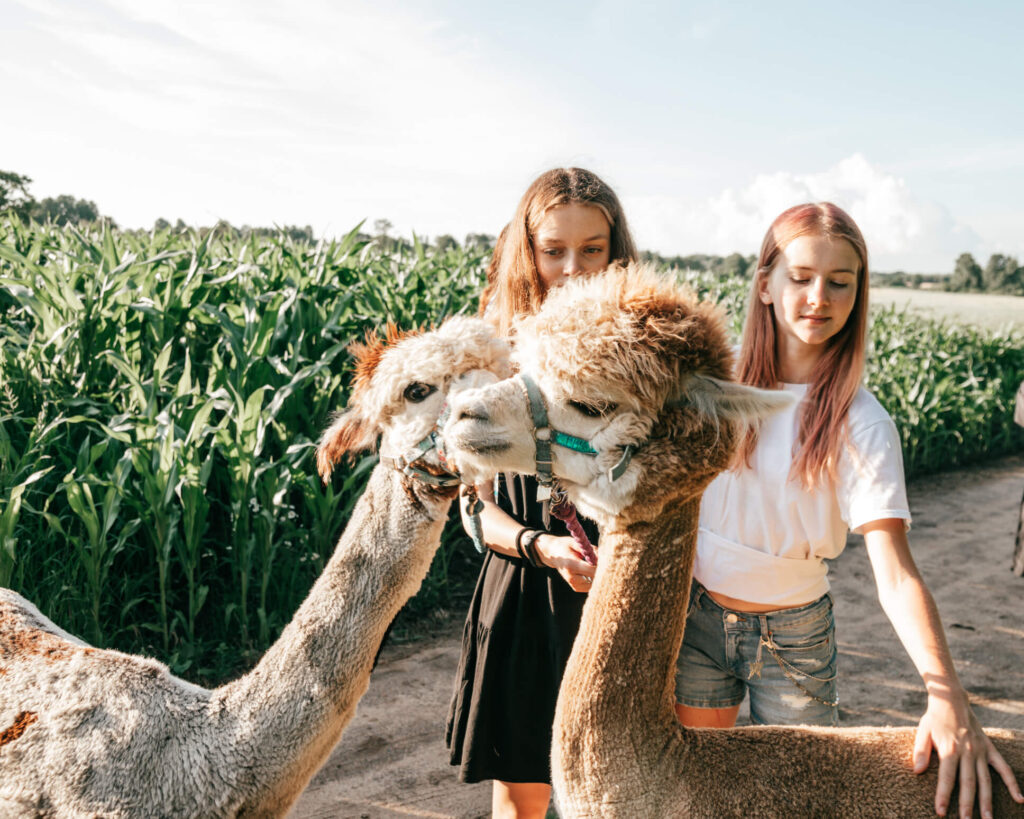 Ein tierischer Kindergeburtstag auf Pointnerhof